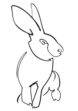 Black rabbit portrait drawn in ink, vector illustration, quick sketch. Symbol of 2023 according to the Chinese calendar, line art