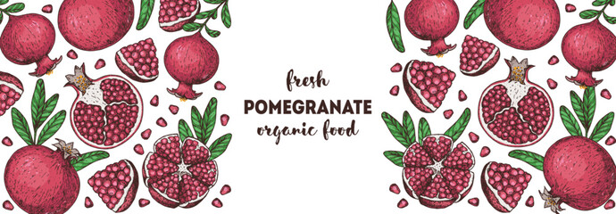 Pomegranate fruit hand drawn design. Vector illustration. Design, package, brochure illustration. Pomegranate border illustration. Design elements for packaging design and other.