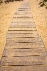 Fototapeta premium Sendero con tablones de madera sobre la arena de una playa