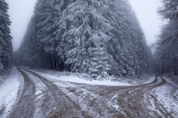 ground frozen road in winter forest - 551901646