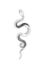 Tattoo snake. Traditional black dot style ink. Isolated illustration. Traditional Tattoo Old School Tattooing Style Ink. silhouette illustration.