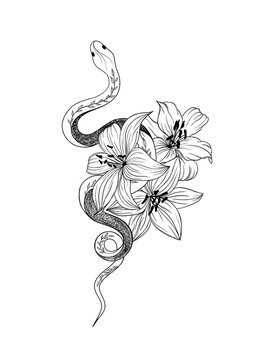 First tattoo, for added context my name is lily : r/trans