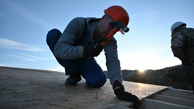 Carpenters hammering nail into OSB panel on the roof top of future cottage. Men workers building wooden frame house. Carpentry and construction concept.