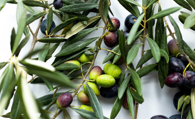 olives and olive branches on a white background.