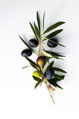 Fototapeta na wymiar olives and olive branches on a white background.