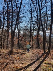 Small girl hiking in an idyllic forest on a sunny day with a clear blue sky