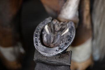 work of horseshoe in forge of horse's hoof iron horseshoe close-up