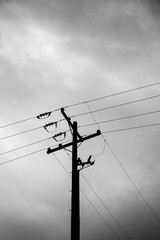 power lines in the sky