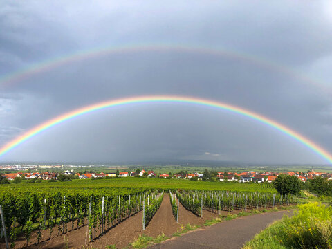 Regenbogen in der Pfalz