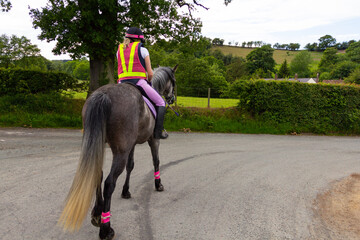 Rear view of young woman wearing reflective safety wear riding her horse out on the road in the...