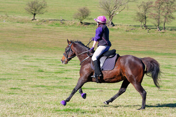 Pretty young rider and her beautiful bay horse enjoy cantering across open spaces in rural Shropshire, moving at speed and enjoying the excitement of taking risk.