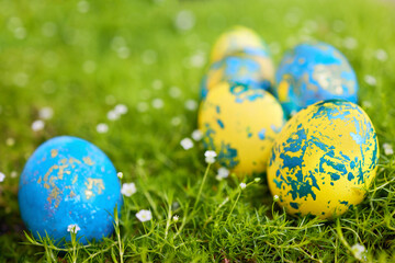 colorful easter eggs on fresh blooming grass. spring egg hunt