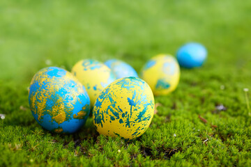 Fototapeta na wymiar colorful easter eggs on fresh green grass. spring egg hunt
