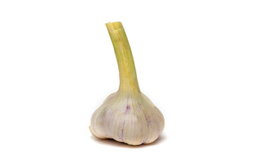 One garlic lie on the white table, isolated