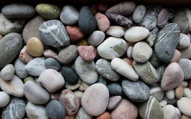 Colored Pebble Stones With Quartz Veins Texture Background Top View 
