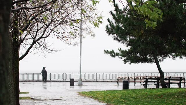 Grey rainy day. A man in cloack is standing at the embankment, looking at water. Empty wooden benches, trees branches are waved by strong cold autumn wind. November in NYC, USA