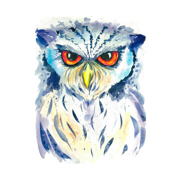 Drawn bright watercolor owl. Texture. Bird. Wildlife. Artistic owl. T-shirt print. Watercolor bird. Predator.