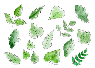 A hand-drawn watercolor illustration of an abstract green branch. Elements for the design of invitations, posters, fabrics and other objects highlighted on a white background
