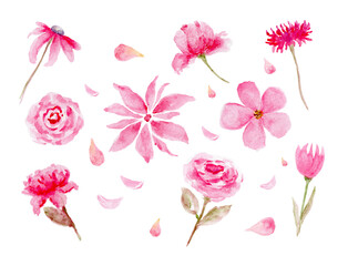 Beautiful watercolor flower set over white background