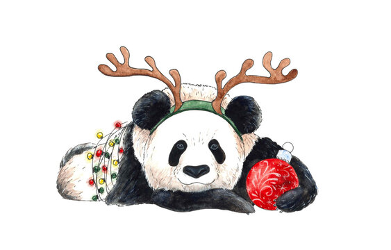 A Christmas panda wrapped in a garland with deer antlers. Watercolor illustration. Highlighted on white. Merry Christmas greeting card with a cheerful panda. A bear in a deer costume.