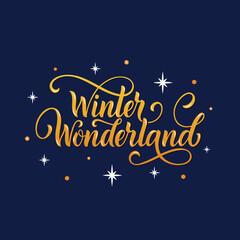 Fototapeta na wymiar Winter Wonderland handwritten text with stars and snowflakes. Hand lettering typography. Modern brush ink calligraphy. Vector illustration as greeting card, banner, poster, logo. Season's greeting
