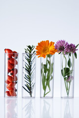 Test tubes with herbs on white background. Herbal medicine concept. Herbal medicine research.