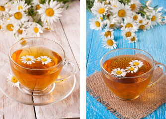 Herbal tea with fresh chamomile flowers on white wooden background