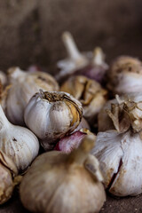 Heads of garlic on grey concrete, harvest. Autumn rural landscape, gloomy photo, macro photography. Autumn photo, wallpapers