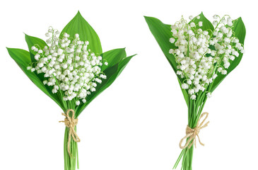 Lilly of the valley flowers isolated on white background with full depth of field