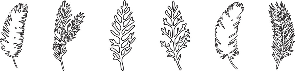 Vector line pine branches. Winter plants for Christmas decoration. Vector isolated holiday design elements.