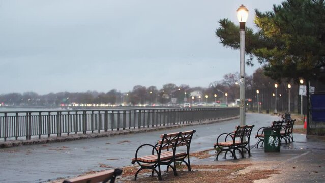 Grey fall day. Empty wooden benches at the embankment, blurred water and seagulls flying above it. Cold autumn day. November in NYC, USA