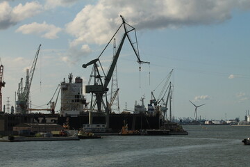 Fototapeta premium Cranes in port.