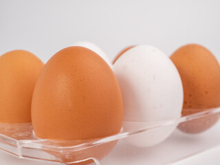 Chicken eggs on a white background. White and brown egg on a white background.