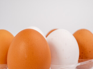Chicken eggs on a white background. White and brown egg on a white background.