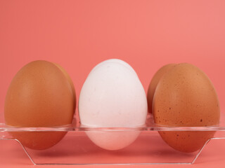 Chicken eggs on a pink background. White and brown egg on a pink background.