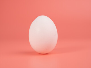 Chicken eggs on a pink background. White egg on a pink background.