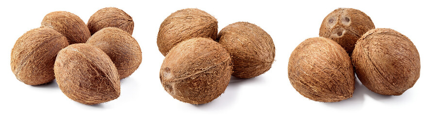 Coconut isolated. Whole coconuts on white background. Coconut set. Coco nut collection. Full depth of field.