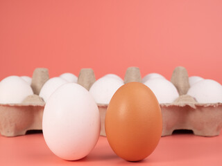 Chicken eggs on a pink background. White and brown egg on a pink background.
