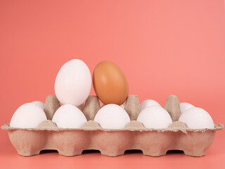 Chicken eggs on a pink background. White and brown egg on a pink background.