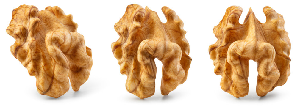 Walnut kernel isolated. Walnut half on white background. Set of peeled broken walnut kernel. Collection with clipping path. Full depth of field.