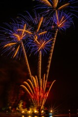 firework in the midnight