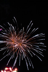 firework in the midnight