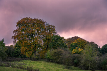 Obraz premium Walking in the Hope Valley on an autumn afternoon, Peak District, England
