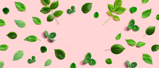Green leaf frame design background - flat lay
