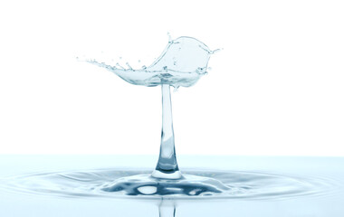 Water splash like umbrella on white background
