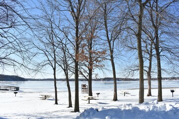 Leafless Trees by a Snowy Minnesota Lake Shore