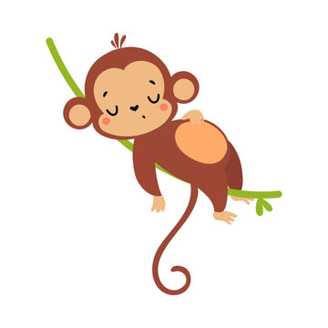 Cute Playful Monkey with Long Tail Lying and Sleeping on Liana Vector Illustration