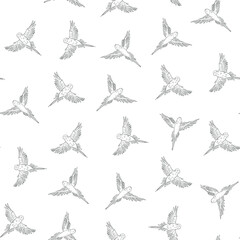 Budgerigar bird line vector seamless pattern.