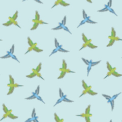 Budgerigar bird vector seamless pattern.