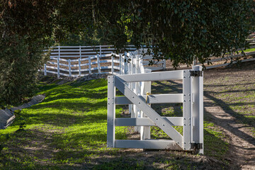 white fences meander through the fields as the sun shines on the rails and posts